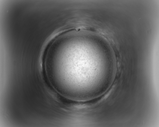 X0000088630246200706011149