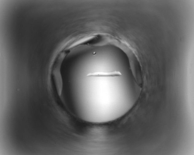 X0000088630248200706011149