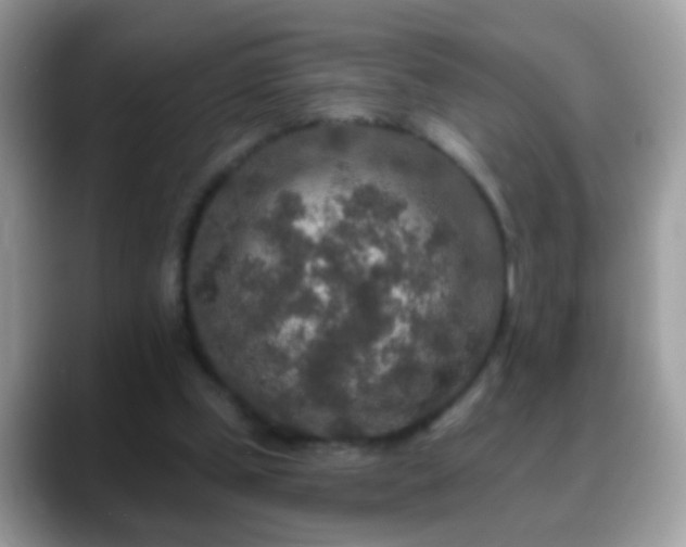 X0000088630249200706011150