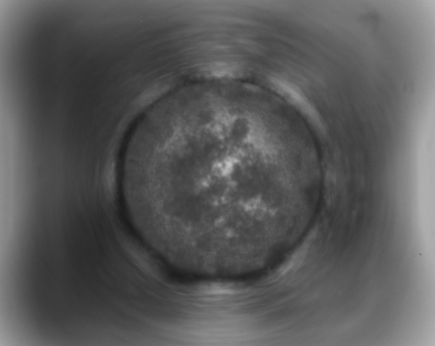 X0000088630250200706011150