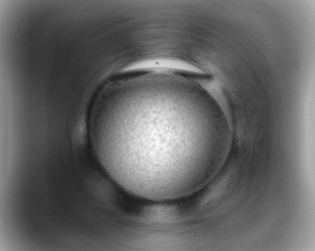 X0000088630251200706011150