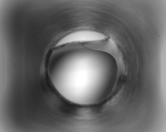 X0000088630252200706011150