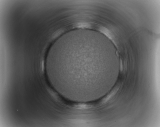 X0000088630253200706011150