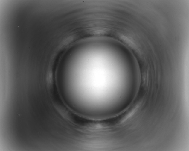 X0000088630254200706011150