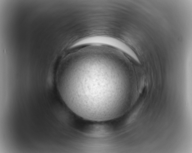 X0000088630255200706011150