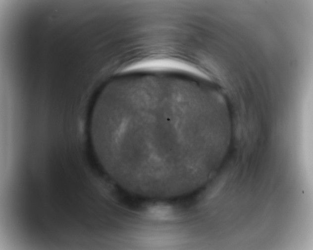 X0000088630258200706011150