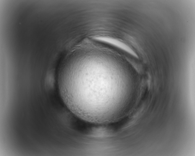 X0000088630259200706011150