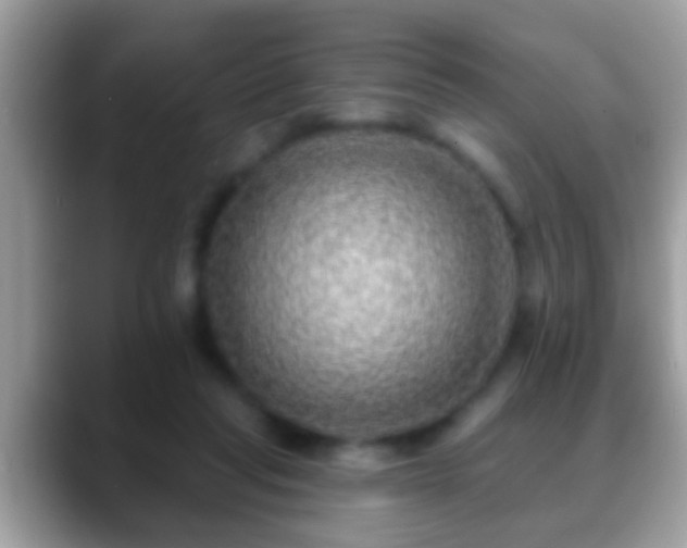 X0000088630261200706011150