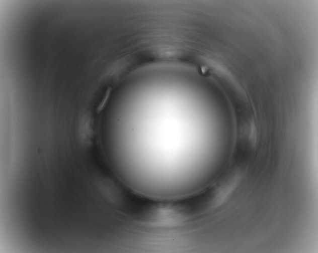 X0000088630264200706011150