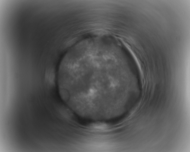 X0000088630266200706011150