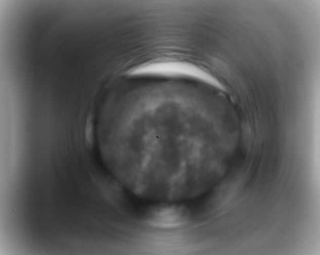 X0000088630267200706011150