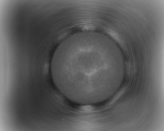 X0000088630269200706011150