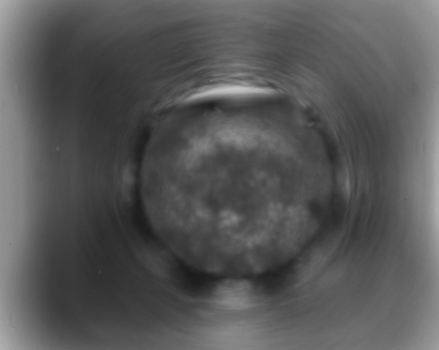 X0000088630271200706011150