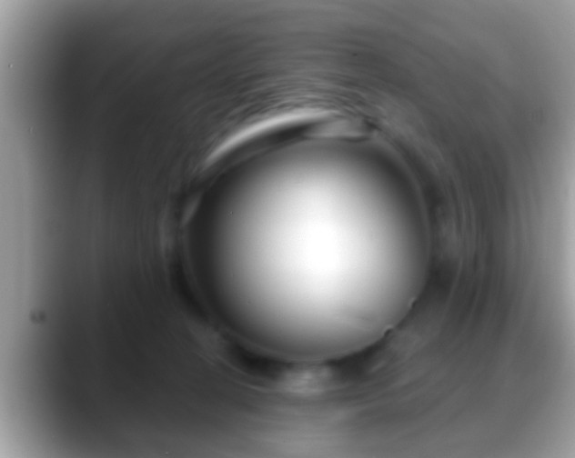 X0000088630274200706011150