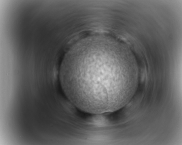 X0000088630279200706011150