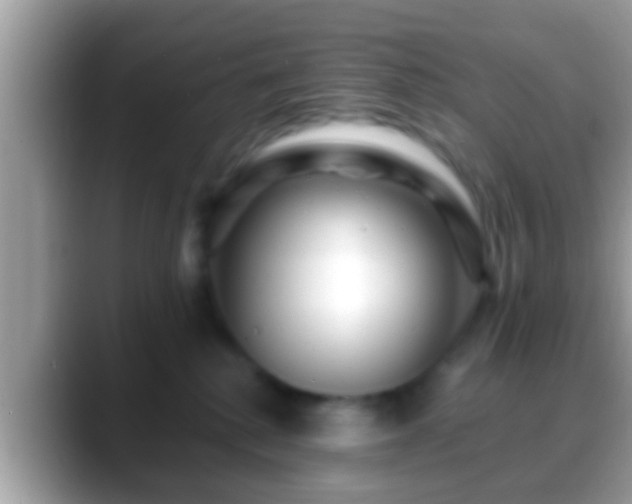 X0000088630280200706011150