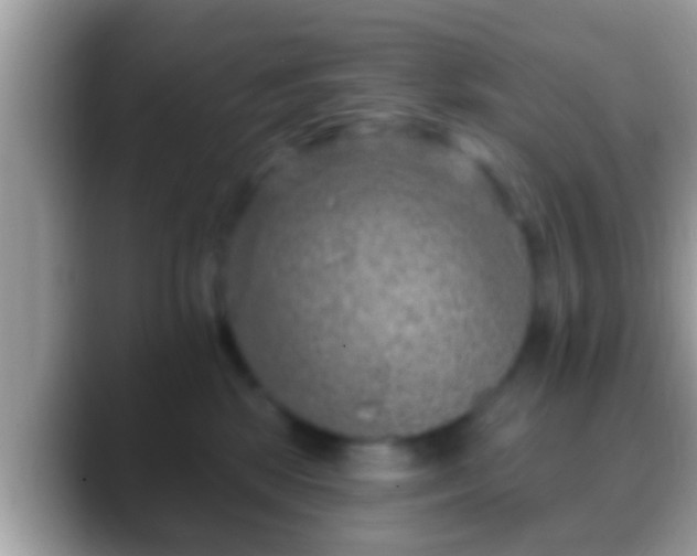 X0000088630281200706011150