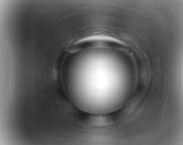 X0000088630282200706011150