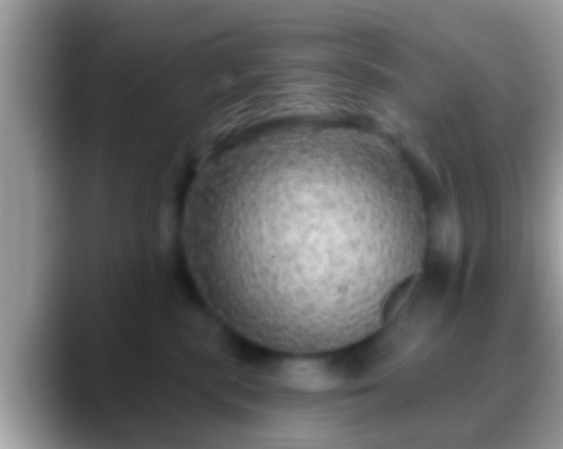 X0000088630283200706011150