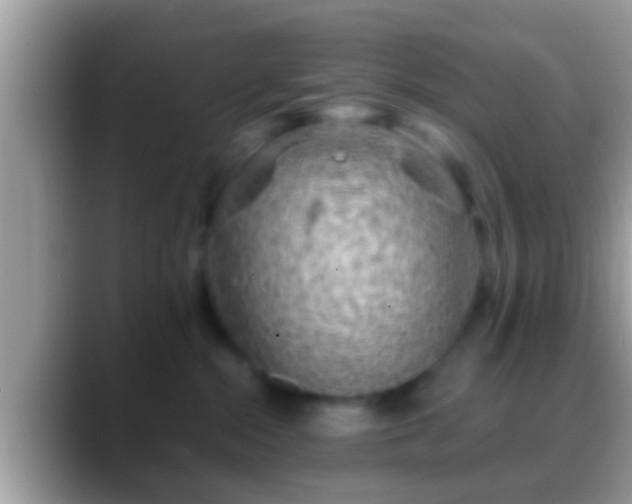 X0000088630284200706011150