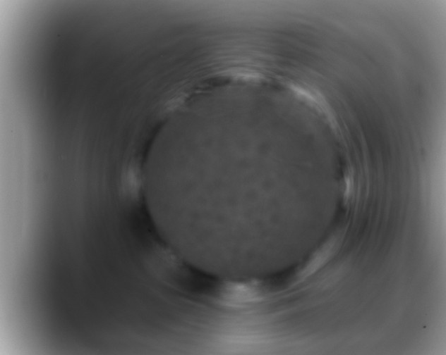 X0000088630285200706011150