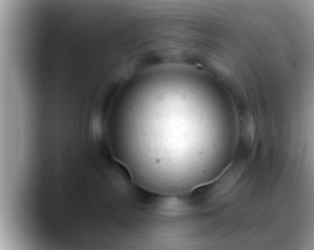 X0000088630287200706011150