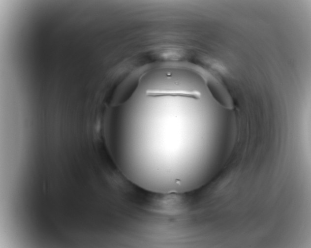 X0000088630288200706011150