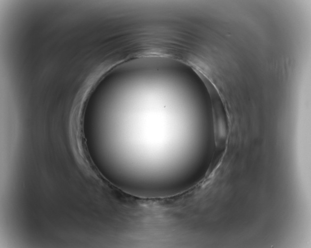 X0000088630289200706011149