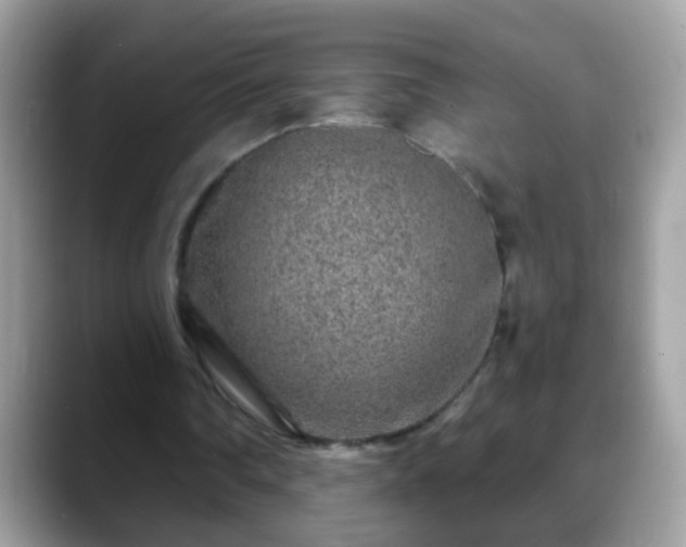 X0000088630290200706011149