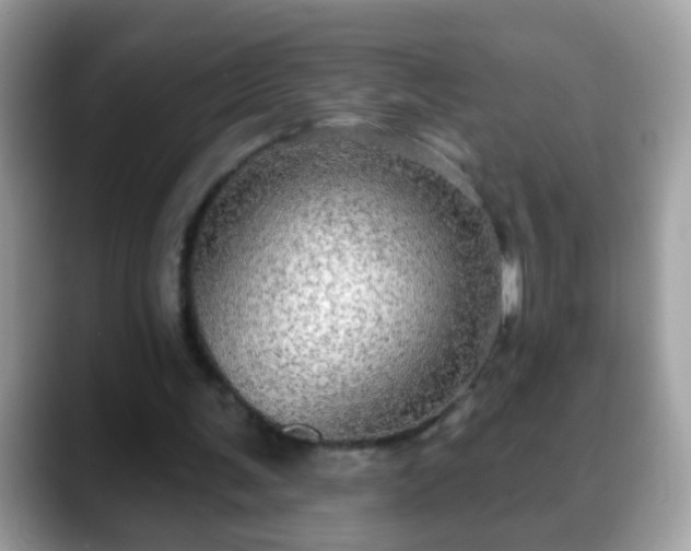 X0000088630291200706011149