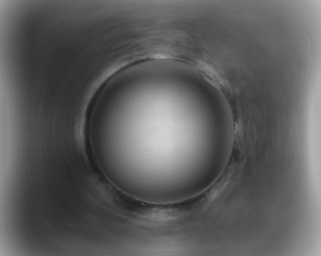 X0000088630292200706011149