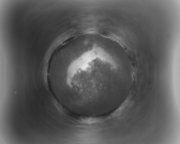 X0000088630293200706011149