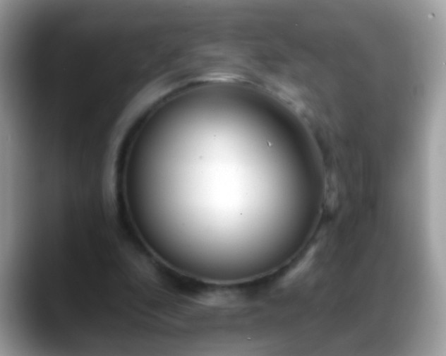 X0000088630296200706011149