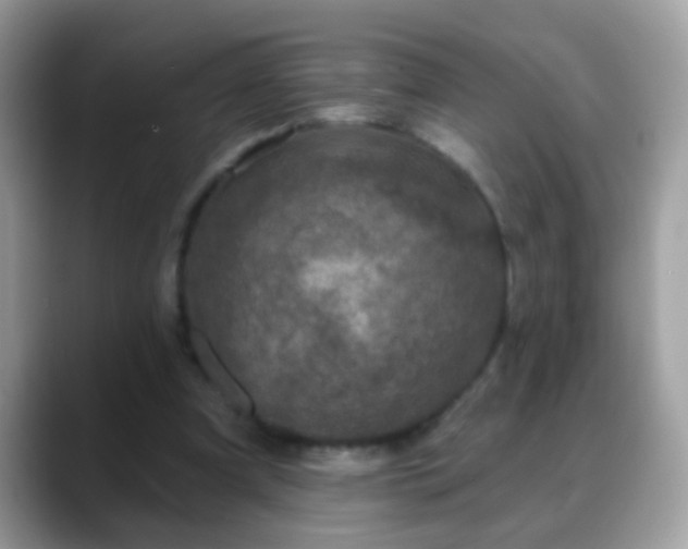 X0000088630297200706011149