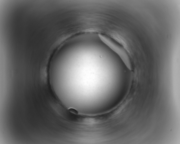 X0000088630298200706011149