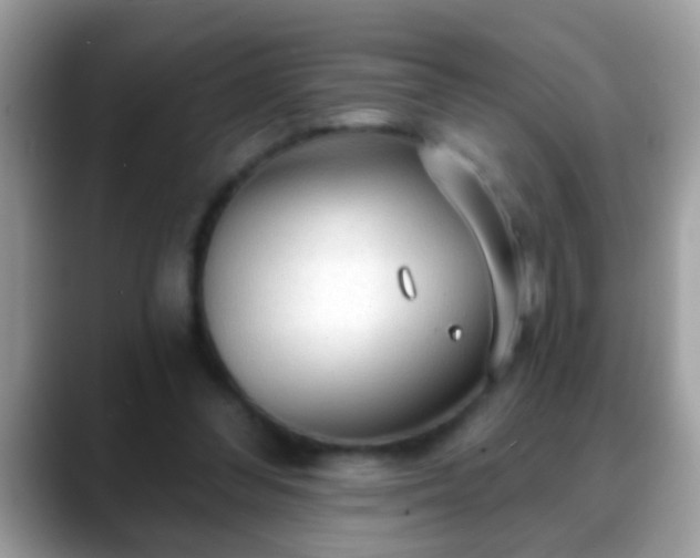 X0000088630300200706011149