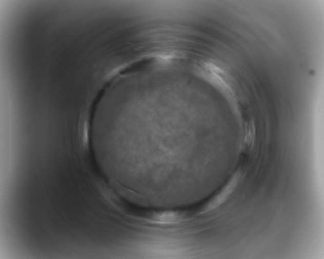 X0000088630301200706011149