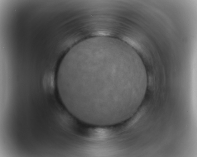 X0000088630302200706011149