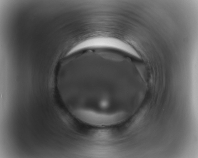 X0000088630303200706011149