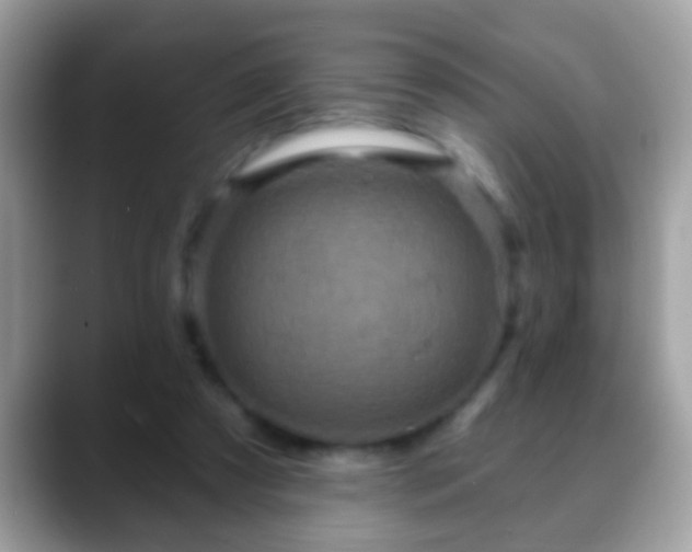 X0000088630305200706011149