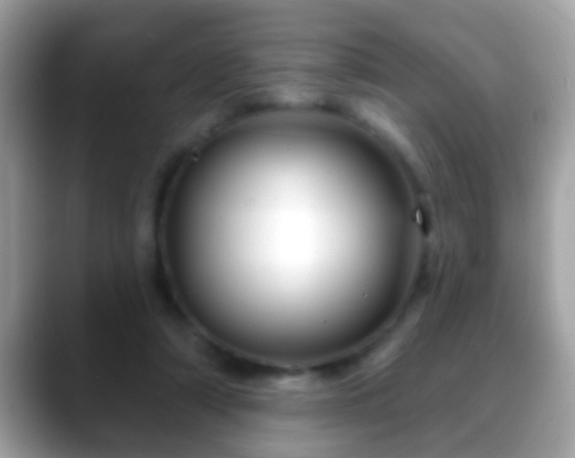 X0000088630306200706011149