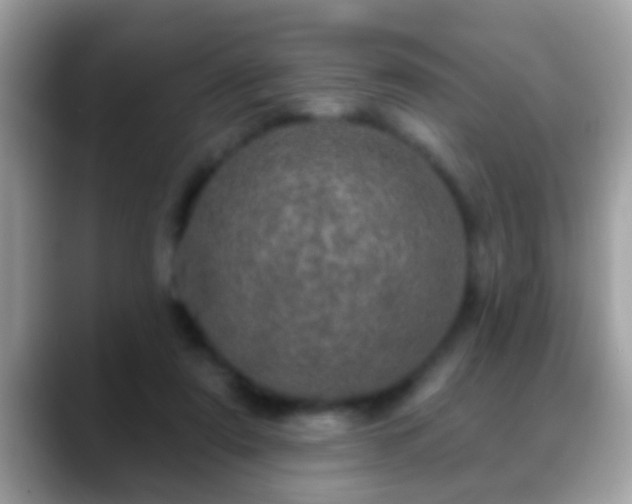 X0000088630307200706011149