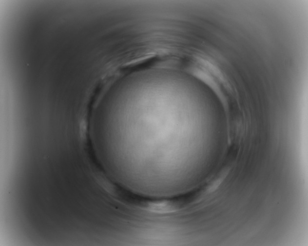 X0000088630309200706011149