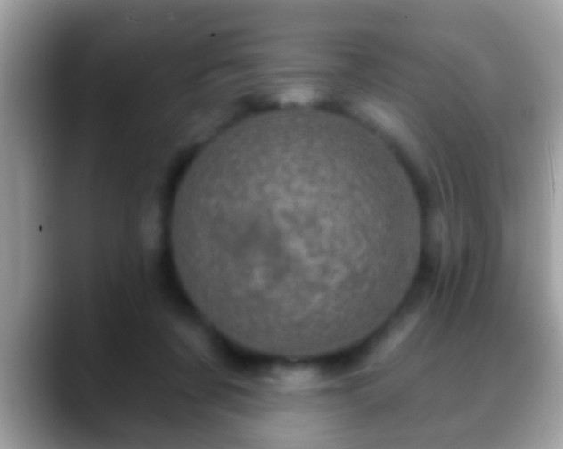 X0000088630311200706011149