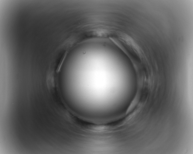 X0000088630313200706011149