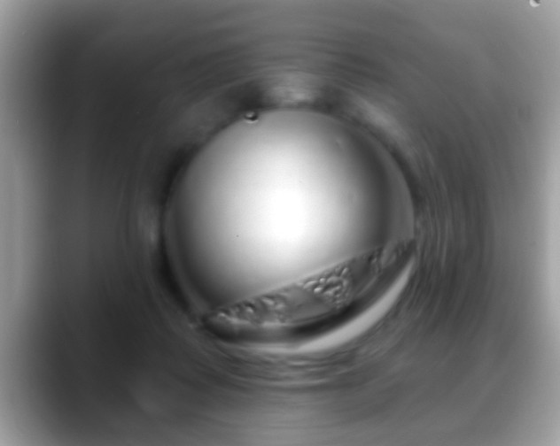 X0000088630315200706011149