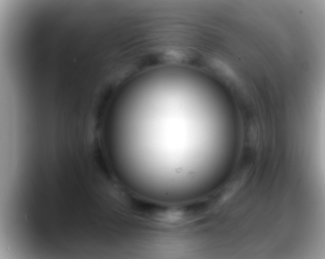 X0000088630318200706011149