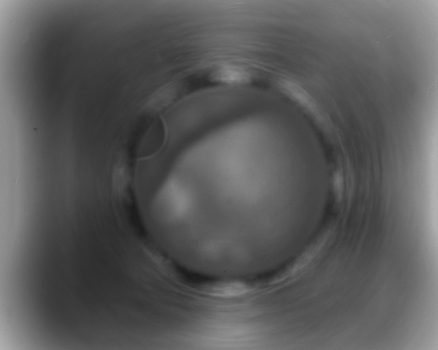 X0000088630322200706011149