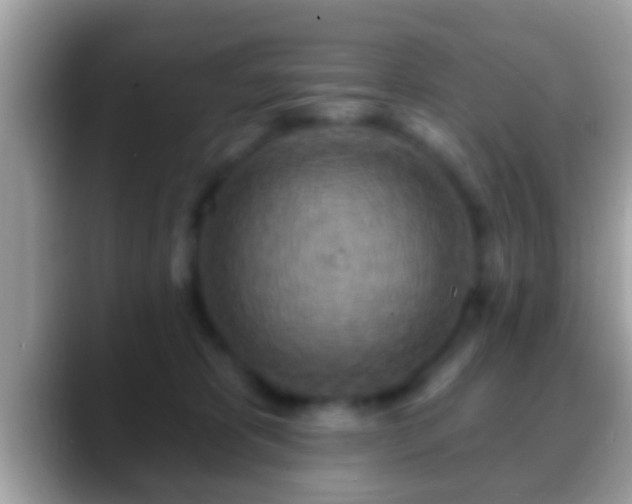 X0000088630325200706011149