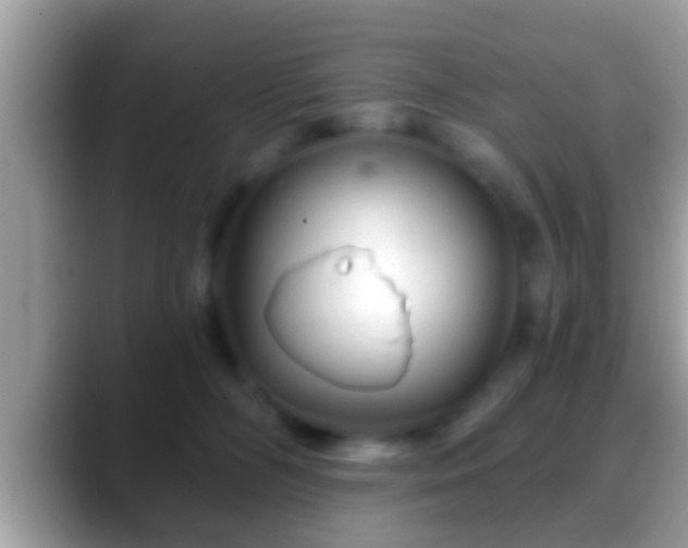 X0000088630326200706011149